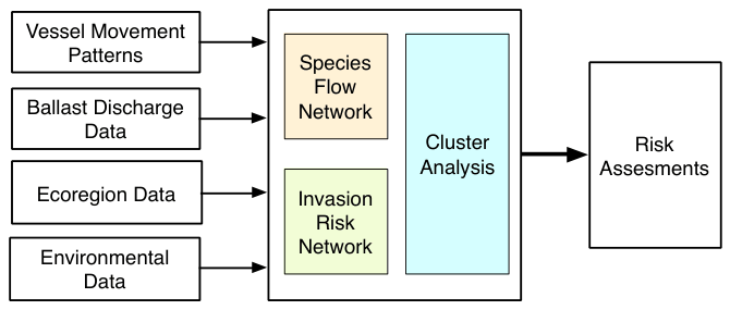 Diagram: vessel movements, ballast discharge, ecoregion and environmental data feed a species flow network and an invasion risk network, then cluster analysis, then risk assessment.