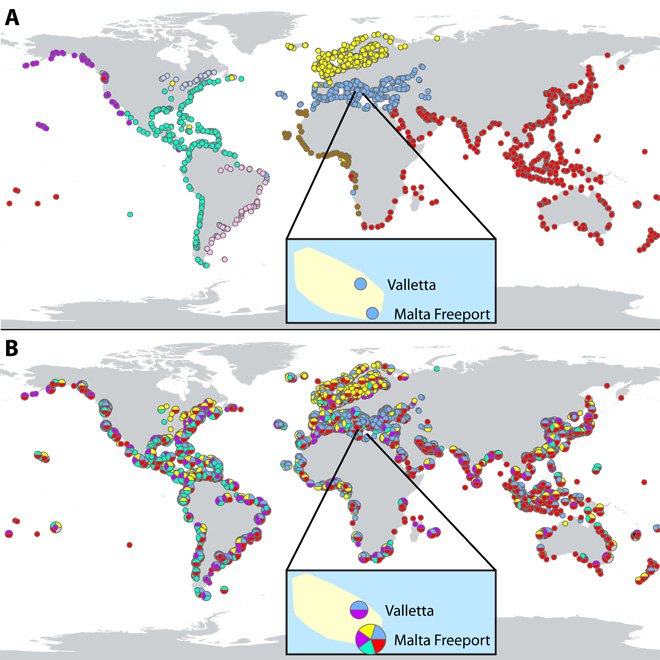 Clusters of ports found on different network representations of the global shipping data.